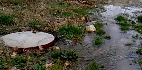 Sapanca Gölüne Akan Kanalizasyonu Sosyal Medyada Paylaşınca SASKİ Harekete Geçti