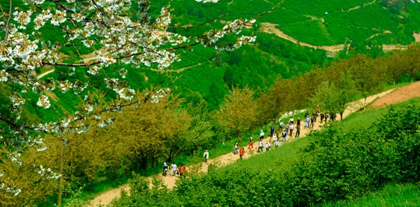 Doğa Yürüyüşleri Başlıyor! Sapanca Parkuru İse 26 Mayıs'ta