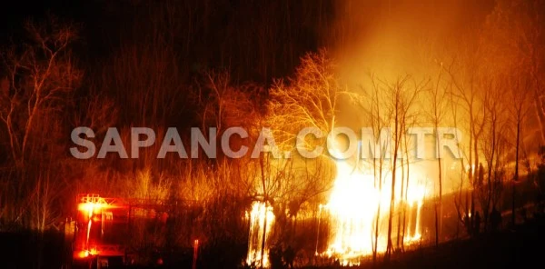 Sapanca'da Korkutan Yangın