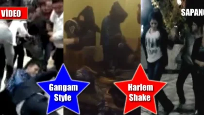 Bunlarda Sapanca'dan Gangam Style ve Harlem Shake Manzaraları