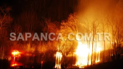 Sapanca'da Korkutan Yangın