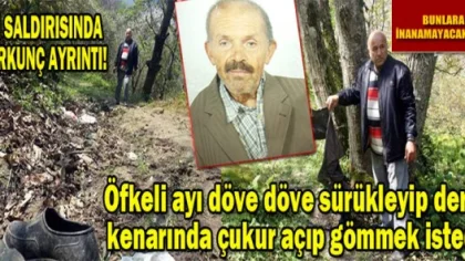 Ayı Saldırısında Korkunç Detay!