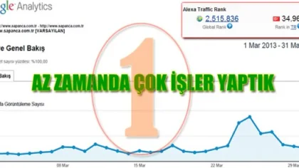 Sapanca.com.tr Kuruluşunun İlk Ayında 1. Sıraya Oturdu