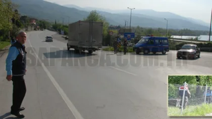 Sapanca Tem'e İnek Kaçtı, Zabıta ve Jandarma Alarma Geçti