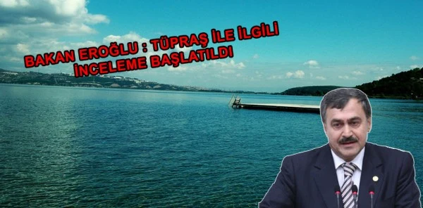 Sapanca Gölü'nden Su Çeken Tüpraş'a İnceleme