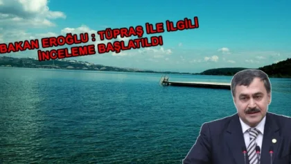 Sapanca Gölü'nden Su Çeken Tüpraş'a İnceleme