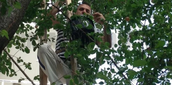 İbrahim Uslu'nun Yeni Stres Atma Yöntemi