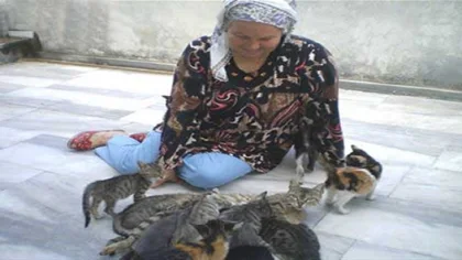 Bu Kedi Sokaktaki Öksüz Yavrulara Sahip Çıkıyor
