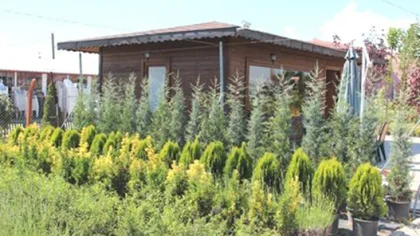 Sapanca Tanıtım ve Sergileme Fidanlığı için Hollanda Örnek Alınacak