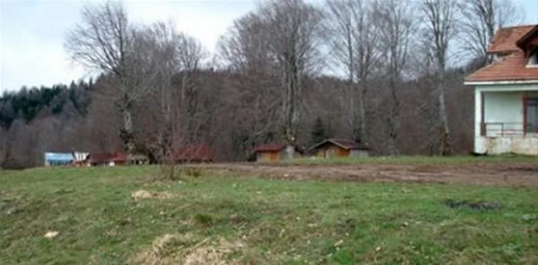 Devlet Ormanları Yayla İlan Edildi!