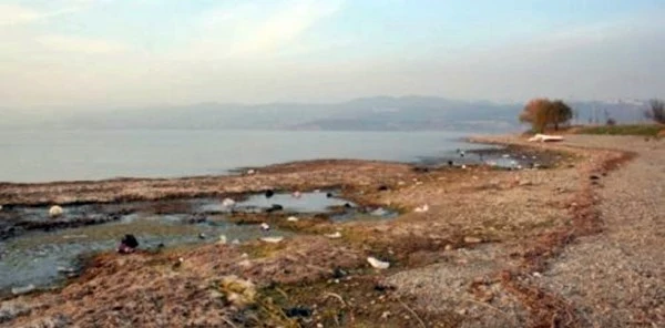 Sapanca Gölü, Kuraklık Sebebiyle Kıyıdan Yaklaşık 4-5 Metre Çekildi