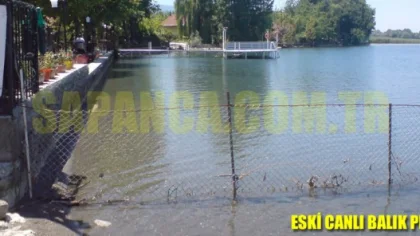 Bu Yanlışa Kim Dur Diyecek ?
