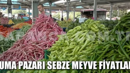 Sapanca Cuma Pazarı 19 Temmuz Tarihli Sebze ve Meyve Fiyatları