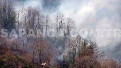 Sapanca Hacımecan Köyünde Orman Yangını Çıktı