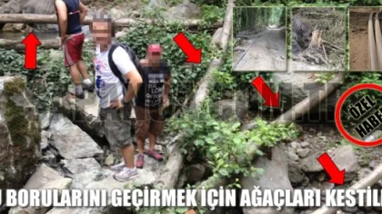 Su Borularını Geçirmek için Ormanı Bu Hale Getirdiler