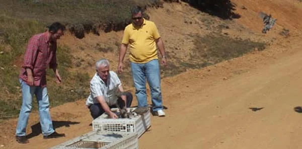 Keklikler Sapanca'da Doğayla Buluştu