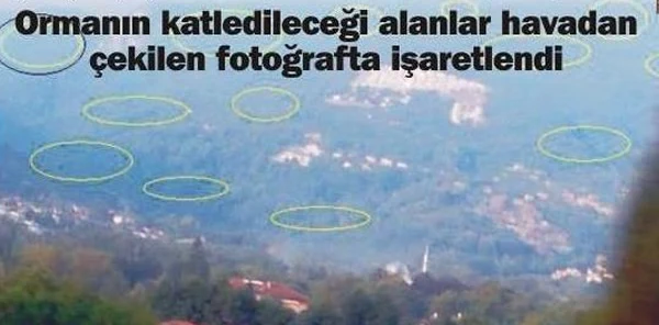 Ormanlar Yok Olmasın Kampanyası Başlatıldı