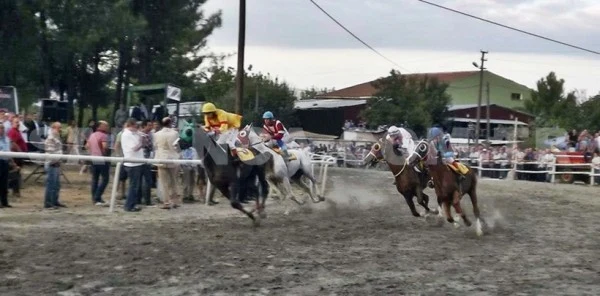 Sapanca 2. Mahalli At Yarışları Şenliği