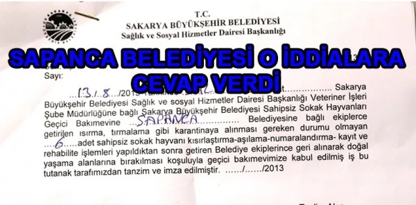 Sapanca Belediyesi Sokak Köpekleri ile İlgili Çıkan Haberlere Açıklık Getirdi