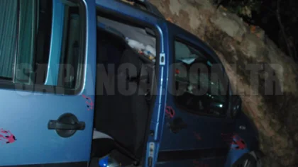 Panelvan Ağaca Çarptı: 1 Yaralı