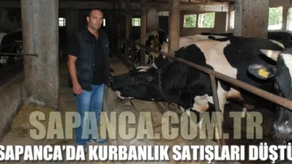 Sapanca'da Kurbanlık Satışları Düştü