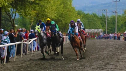 Sapanca Yaz Şenlikleri Mahalli At Yarışları Sona Erdi