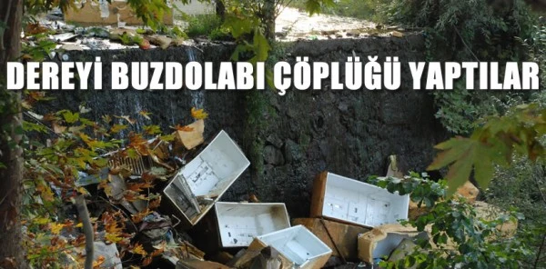 Dereyi Buzdolabı Çöplüğü Yaptılar