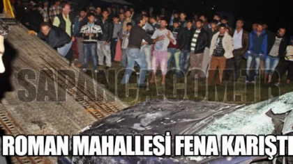 Sapanca Roman Mahallesi Fena Karıştı