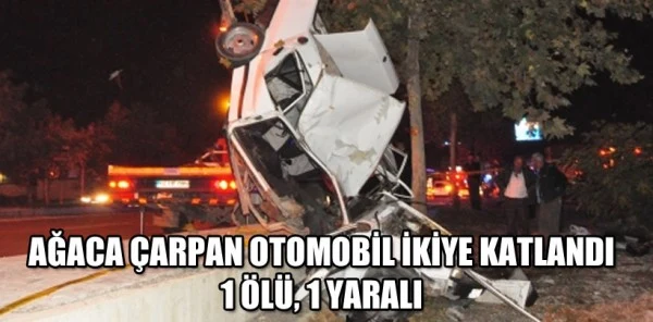 Ağaca Çarpan Otomobil İkiye Katlandı: 1 Ölü, 1 Yaralı