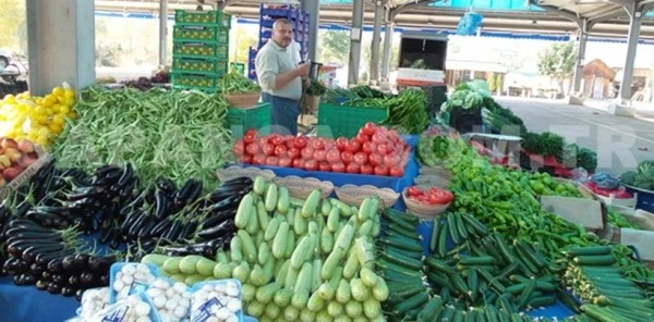 Sapanca Cuma Pazarı 1 Kasım Tarihli Parakende Sebze ve Meyve Fiyatları