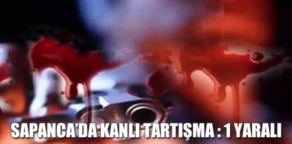 Sapanca'da Kanlı Tartışma : 1 Yaralı