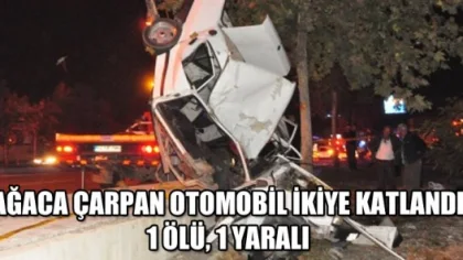 Ağaca Çarpan Otomobil İkiye Katlandı: 1 Ölü, 1 Yaralı