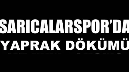Akademispor'un Rakibinde Yaprak Dökümü