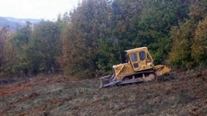 Bu Proje Orman Köylüsüne Gelir Sağlayacak