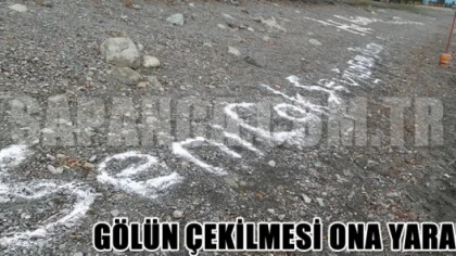 Gölün Çekilmesi Ona Yaradı