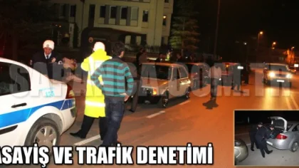 Sapanca'da Asayiş ve Trafik Denetimi
