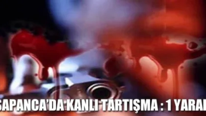 Sapanca'da Kanlı Tartışma : 1 Yaralı
