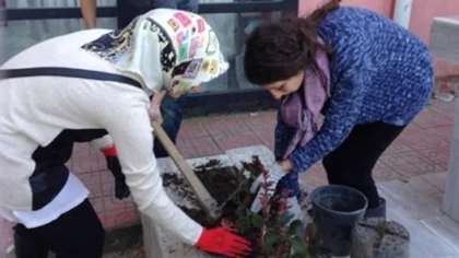 Sapanca Myo Dan Yeni Bir Sosyal Sorumluluk Projesi Daha