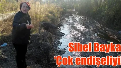 Sibel Baykal: 'Çok Endişeliyiz'