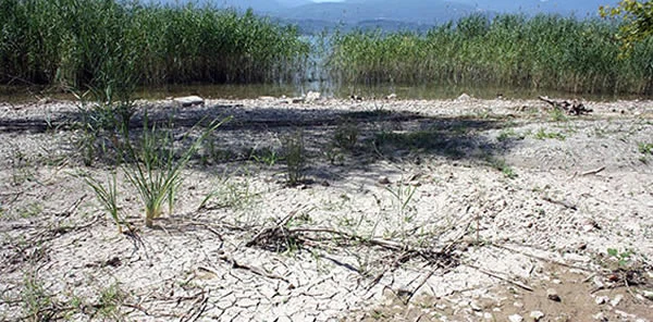 Matur 'Sapanca Gölü' için AK Parti'ye Yüklendi ve 'Yazıklar Olsun' Dedi