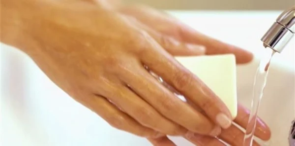 Sapanca'da Hijyen Eğitimi Kursu Açılıyor