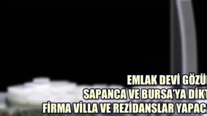 Emlak Devi Gözünü Sapanca ve Bursa'ya Dikti! Firma Villa ve Rezidanslar Yapacak
