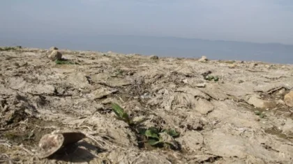 Sapanca Gölü Hiç Bu kadar Çekilmemişti