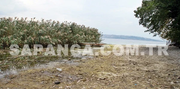 Yağmur Sapanca Gölüne 4 Santim İYİ Geldi!