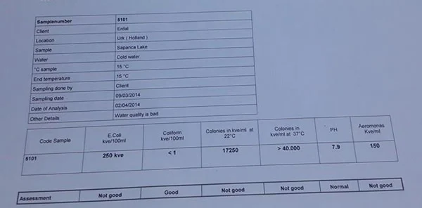 Sapanca Gölü Su Testi: 'Su Kalitesi Kötü'