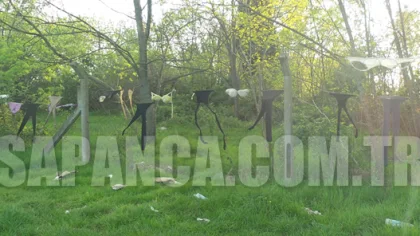 Haberciler Sapanca Gölü Kenarındaki Yangını Görüntülemeye Gitmişlerdi ancak…