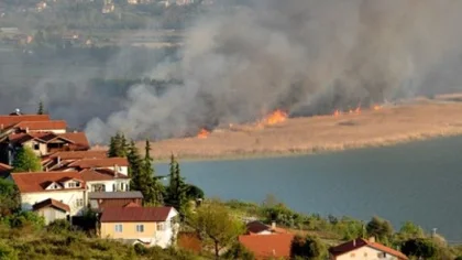 Sapanca Gölü Kenarında Yanan Sazlıklar Eski Haline Dönecek
