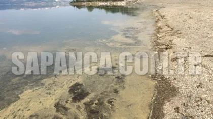 Sapanca Gölü Kıyısında Oluşan Sarı Tabaka Korkuttu
