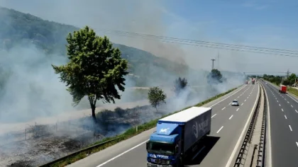 Karayolunda Ot Temizleme Çalışmaları
