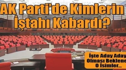 Milletvekilliği İştahı Kabaranları Yazdı...